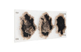 Floating Petrified Triple Slice Wall Art