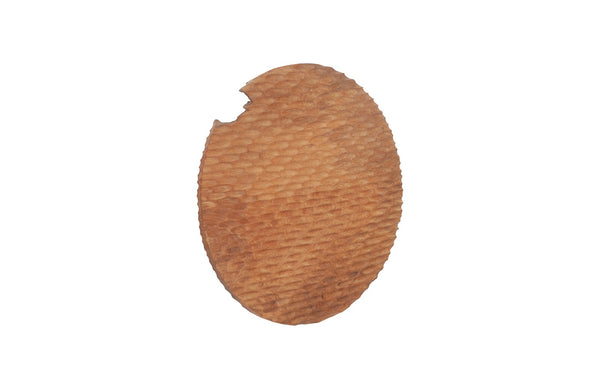 Dune Wall Tile, SM, Appearances Vary