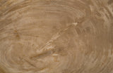 Petrified Wood Tray, Stainless Steel Base, Assorted Styles and Sizes