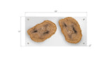 Floating Petrified Double Slice Wall Art