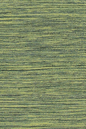 Chandra Rugs India 100% Cotton Hand-Woven Contemporary Rug Green 5' x 7'6