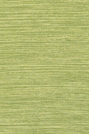 Chandra Rugs India 100% Cotton Hand-Woven Contemporary Rug Green 7'9 x 10'6