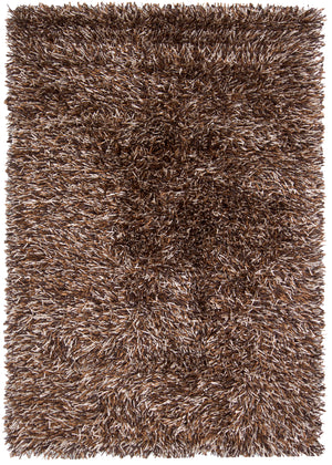Chandra Rugs Iris 100% Polyester Hand-Woven Contemporary Rug Brown/Beige/Chocolate 9' x 13'