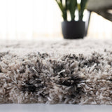 Safavieh Iceland Shag 518 Power Loomed Polypropylene Pile Rug ISG518A-6