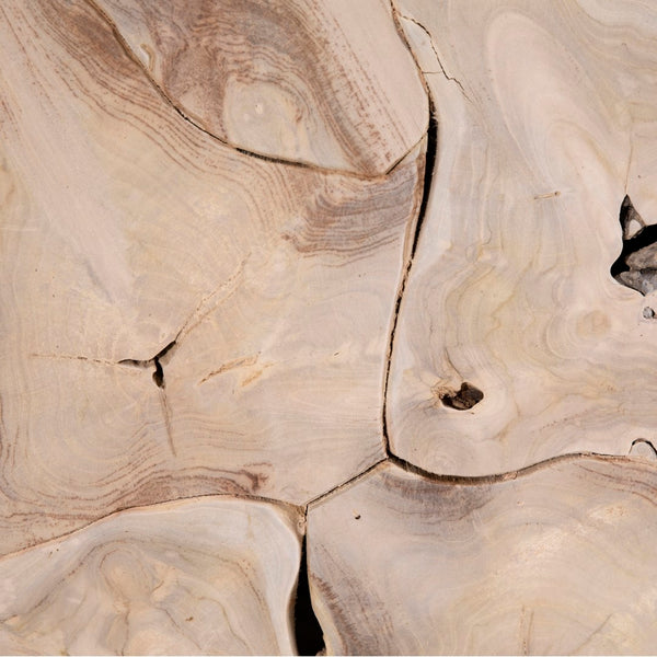 Dovetail Scarlett 79" Rectangular Teak Root Glass Top Dining Table IT8410B