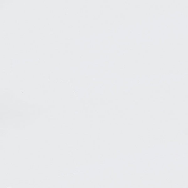 Walker Edison Jody Contemporary/Urban Contemporary Metal Twin Bed JDYB3CWH