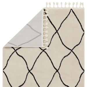 Jaipur Living Jaida Treble Vibe JID06 Power Loomed 60% Polypropylene 40% Polyester Trellis Area Rug Ivory 60% Polypropylene 40% Polyester RUG154695