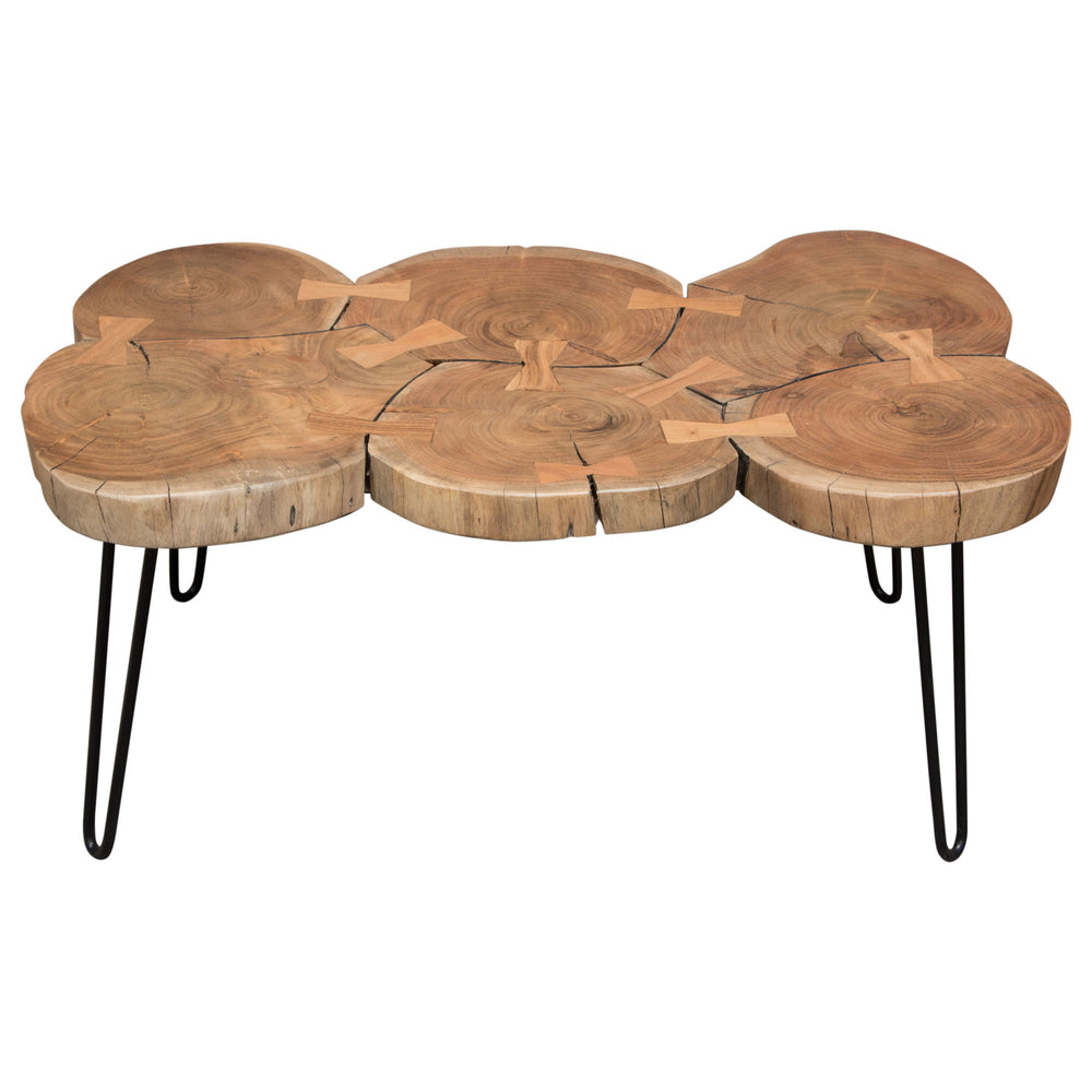 Joss Natural Acacia One of a Kind Live Edge Rectangle Cocktail Table w/ Black Hairpin Legs by Diamond Sofa