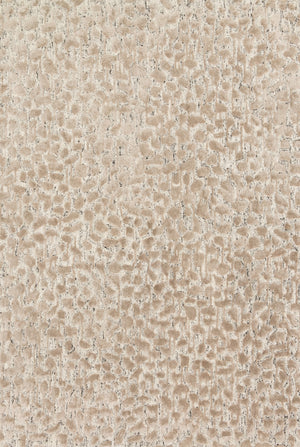 Loloi Juneau JY-02 Viscose, Wool, Other Hand Tufted Contemporary Rug JUNEJY-02ASTA93D0