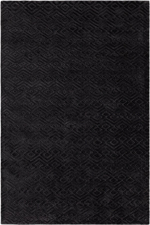 Chandra Rugs Keira 100% Viscose Hand-Woven Contemporary Rug Black 9' x 13'