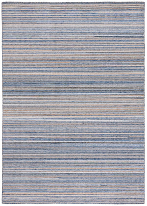 Safavieh Kilim 313 Overall Content: 100% PET Flat Weave Rug KLM313M-5