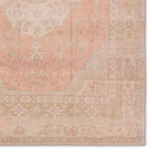Jaipur Living Kindred Adeline KND18 Powerloomed Machine Made Indoor Updated Traditional Rug Orange 9' x 12'