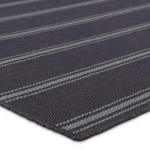 Jaipur Living Laguna Memento LAG02 Handwoven Handmade Outdoor Contemporary Rug Navy 8' x 10'
