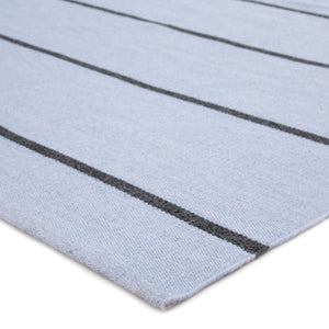 Jaipur Living Corbina Indoor/ Outdoor Stripe Light Blue/ Gray Area Rug (8'10"X11'9")