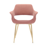 Gigi Pink Velvet Dining Room Chair with Gold Metal Legs - Set of 2