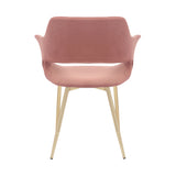 Gigi Pink Velvet Dining Room Chair with Gold Metal Legs - Set of 2