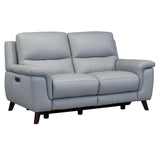 Lizette Contemporary Loveseat in Dark Brown Wood Finish and Dove Gray Genuine Leather