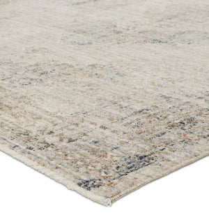 Jaipur Living Leila Adonia Vibe LEI05 Power Loomed 100% Polyester Medallion Area Rug Taupe 100% Polyester RUG155510
