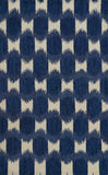Leiden LEI-1 Hand Tufted Transitional Ikat Indoor Area Rug