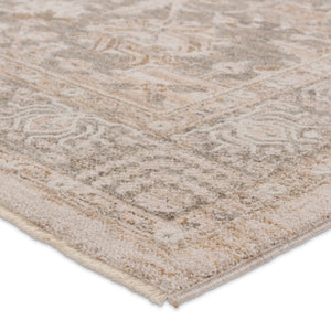 Jaipur Living Lilit Acair LIL02 Powerloomed Machine Made Indoor Updated Traditional Rug Beige 9' x 12'
