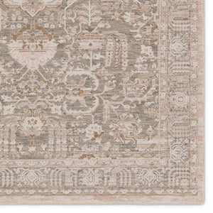 Jaipur Living Lilit Acair LIL02 Powerloomed Machine Made Indoor Updated Traditional Rug Beige 9' x 12'