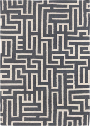 Chandra Rugs Lima 100% Wool Hand-Woven Flatweave Reversible Wool/Cotton Rug Grey/White 7' x 10'