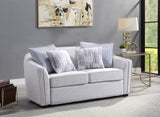 Mahler II Transitional Loveseat with 4 Pillows Beige(#Ronan), Pillow(#J6573-1D; #R3618B-3H), Black Legs LV00486-ACME