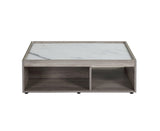 Walden Transitional Coffee Table Gray Oak(#M22) LV00796-ACME