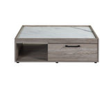 Walden Transitional Coffee Table Gray Oak(#M22) LV00796-ACME