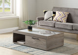 Walden Transitional Coffee Table Gray Oak(#M22) LV00796-ACME