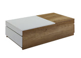 Aafje Contemporary Coffee Table Oak(#M28), White(#M51) LV00797-ACME