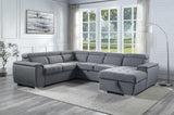 Hanley Contemporary Sleeper Sectional Sofa with Storage  LV00968-ACME