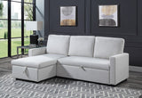 Hiltons Contemporary Sleeper Sectional Sofa with Storage  LV00971-ACME