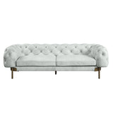 Ragle Contemporary Sofa  LV01021-ACME