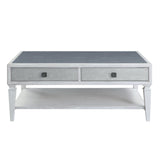 Katia Transitional Coffee Table  LV01052-ACME