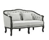 Samael Transitional Loveseat with 2 Pillows