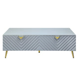 Gaines Contemporary Coffee Table  LV01135-ACME