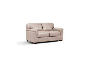 Cornelia Contemporary Loveseat  LV01297-ACME