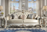 Vendome Transitional Sofa with 5 Pillows  LV01324-ACME