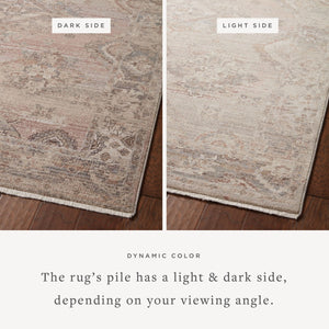 Loloi Loloi Lyra LYR-01 Traditional Power Loomed Rug Blush / Dove 11'-6" x 15'-7"