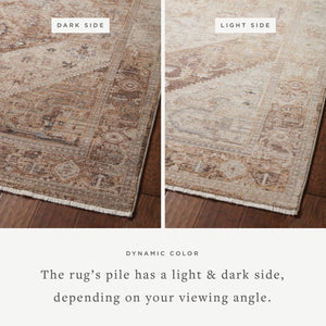 Loloi Loloi Lyra LYR-07 Traditional Power Loomed Rug Natural / Mocha 11'-6" x 15'-7"