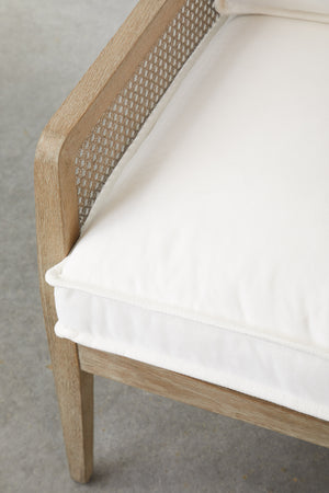 Essentials for Living Stitch & Hand - Dining & Bedroom Leone Club Chair 6649.LPPRL/NG