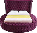 Luxus Velvet / Engineered Wood / Metal / Foam Contemporary Purple Velvet Queen Bed - 93.75" W x 100.5" D x 56" H