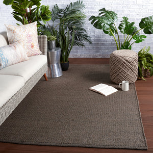 Jaipur Living Ryker Indoor/ Outdoor Solid Brown/ Gray Area Rug (10'X14')