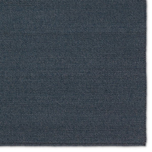 Jaipur Living Maverick Ryker MAV07 Handwoven Handmade Outdoor Contemporary Rug Blue 10' x 14'