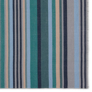 Jaipur Living Mazarro Sergio MAZ02 Handwoven Handmade Indoor Coastal Rug Teal 9' x 12'