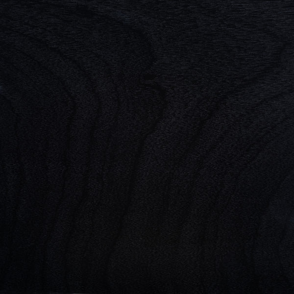 Safavieh Ryder 2 Door 1 Shelf Media Stand MED5707B