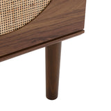 Safavieh Claude 1 Door 2 Shelf Media Stand Walnut Pb And Mdf, Rattan, Rubber Wood MED9609A