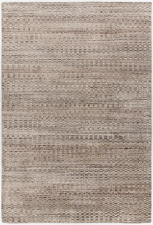 Chandra Rugs Melina 70% Viscose + 30% Wool Hand-Woven Contemporary Rug Brown/Silver 9' x 13'