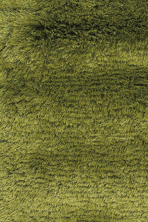 Chandra Rugs Mercury 100% Polyester Hand-Woven Contemporary Rug Green 9' x 13'